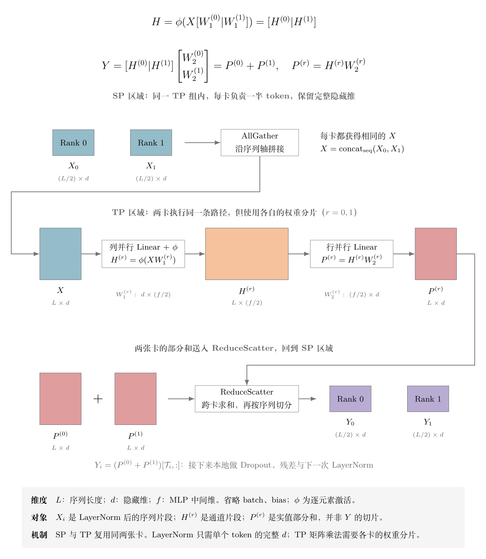 Megatron SP 与 TP：序列分片经 AllGather 进入 TP MLP，部分和经 ReduceScatter 回到序列分片